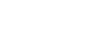 iDiD Logo