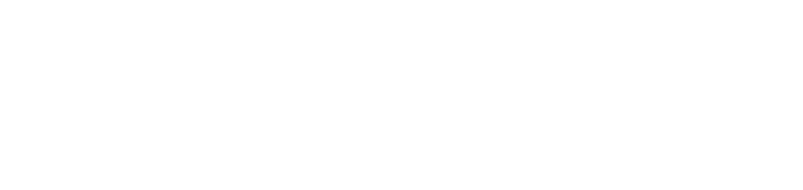 Euroopan unionin rahoittama